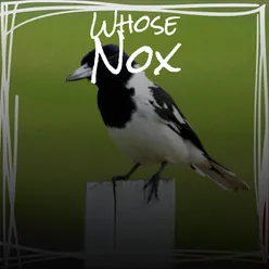 Whose Nox