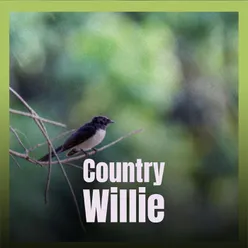 Country Willie