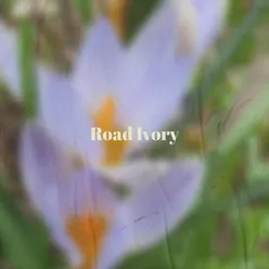 Road Ivory