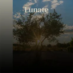 Lunate