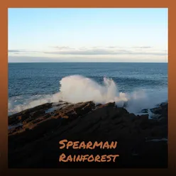 Spearman Rainforest