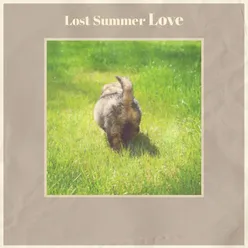 Lost Summer Love