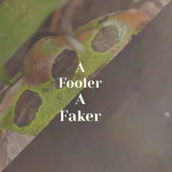 A Fooler A Faker