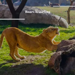 Roars Traveling