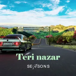 Teri Nazar