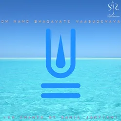 Om Namo Bhagavate Vaasudevaya (108 Chants)