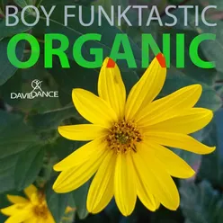 Organic Original mix