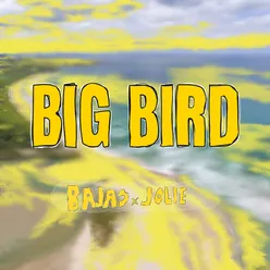 Big Bird 2023
