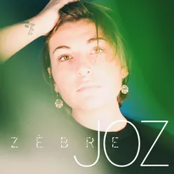 zèbre