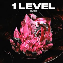 1 Level