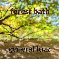 Forest Bath