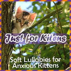 Just for Kittens- Soft Lullabies for Anxious Kittens