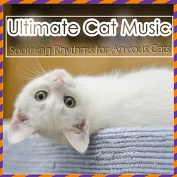 Ultimate Cat Music - Soothing Rhythms for Anxious Cats