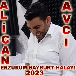 Erzurum Bayburt Halayi 2023