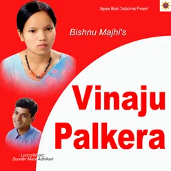 Vinaju Palkera