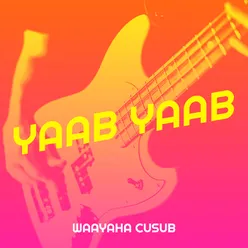 Yaab Yaab