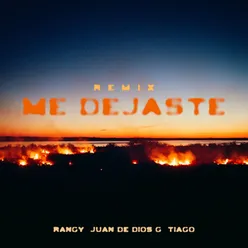 Me Dejaste (Remix)