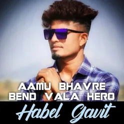 Aamu Bhavre Bend Vala Hero