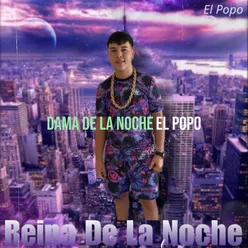 Dama De La Noche