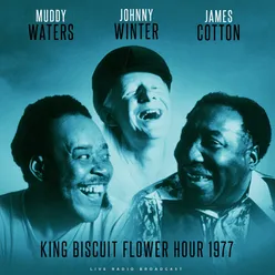 King Biscuit Flower Hour 1977 (live)