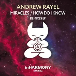 Miracles / How Do I Know (Remixes EP)