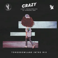 Crazy Tomorrowland Intro Mix