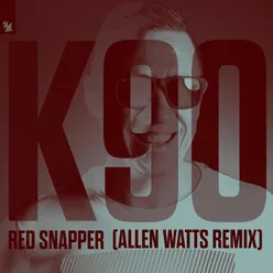 Red Snapper Allen Watts Remix