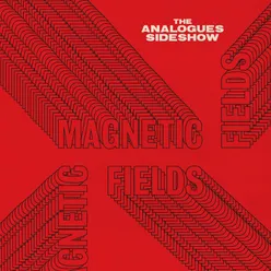 Magnetic Fields