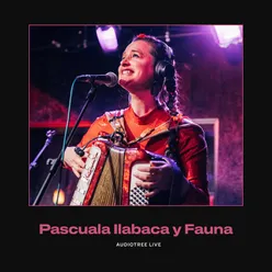 Pascuala Ilabaca y Fauna on Audiotree Live