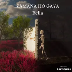 ZAMANA HO GAYA