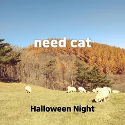 need cat