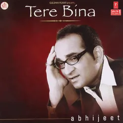 Tere Bina