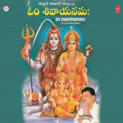 Om Sivaayanamana