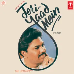 Teri Yaad Mein(Ghazals)