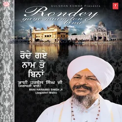 Rondey Gaye Naam Ton Bina (CD 1 And 2)