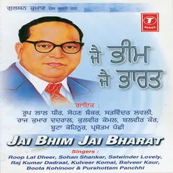 BHIM JI AMAR RAHE