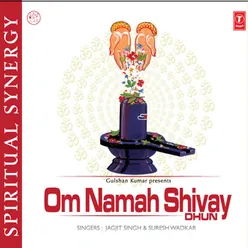 Om Namah Shivay(Dhun)-Suresh Wadkar - Jagjit Singh