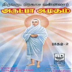 Arutpa Amudam - Vol 2