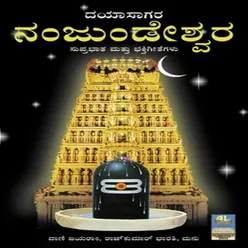 Sri Srikanteshwara