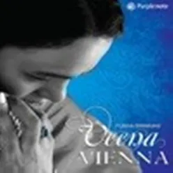 Veena In Vienna - Radio Edit
