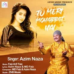 Tu Meri Mohabbat Hai