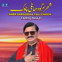 Sher Sargodha Tali Chock