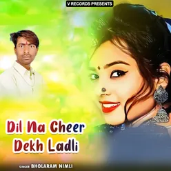 Dil Na Cheer Dekh Ladli