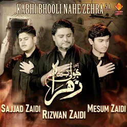 Kabhi Bhooli Nahe Zehra S A