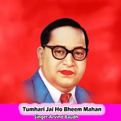 Tumhari Jai Ho Bheem Mahan