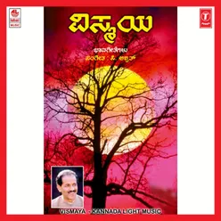 Vismaya_Kannada