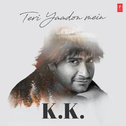 Teri Yaadon Mein - K.K.