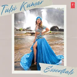 Tulsi Kumar's Dance Wave Mashup (From "Tulsi Kumar's Dance Wave Mashup")