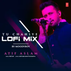 Tu Chahiye Lofi Mix(Remix By Moodyboy)