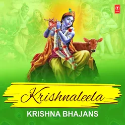 Shree Krishna Amritwani (From "Krishna Amritwani")